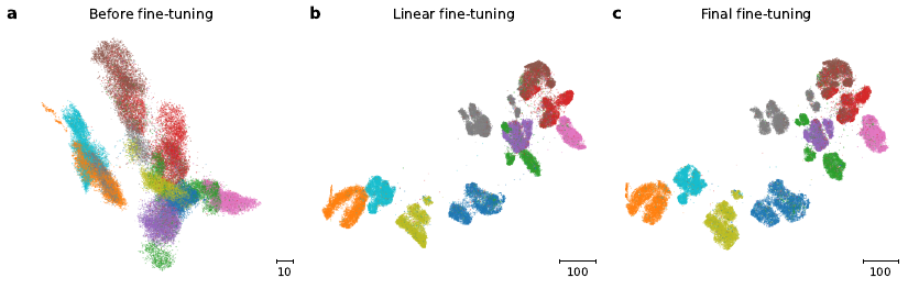 Visualization of the CIFAR-10 dataset during the optimization.
